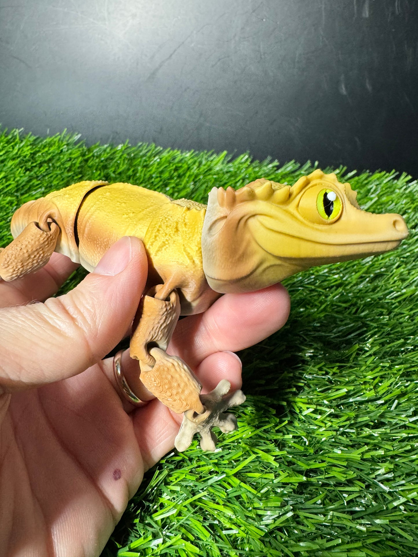Jayden - The Stump Gecko - Mythical Pets