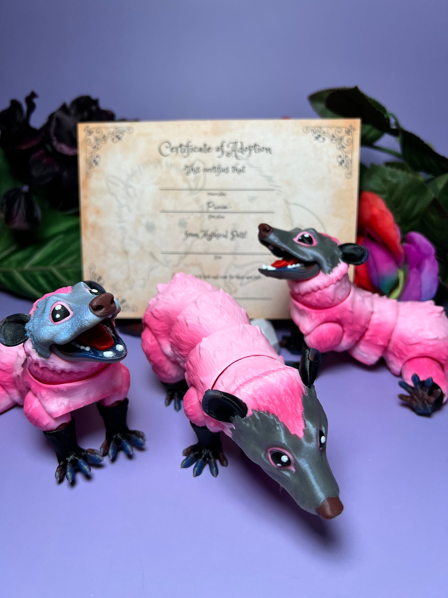 Pixie - The Pink Opossum - Mythical Pets