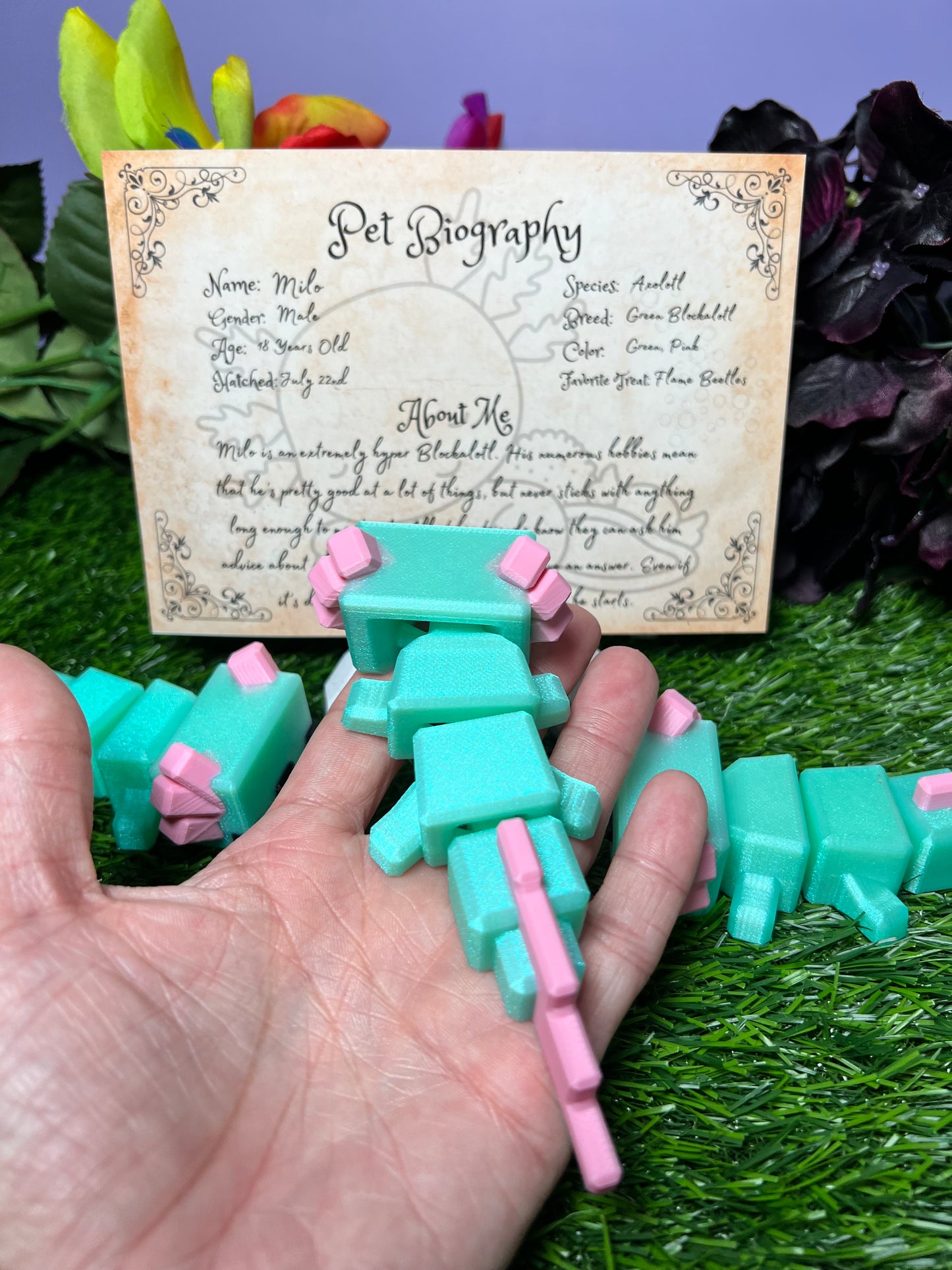 Milo - The Blockalotl - Mythical Pets