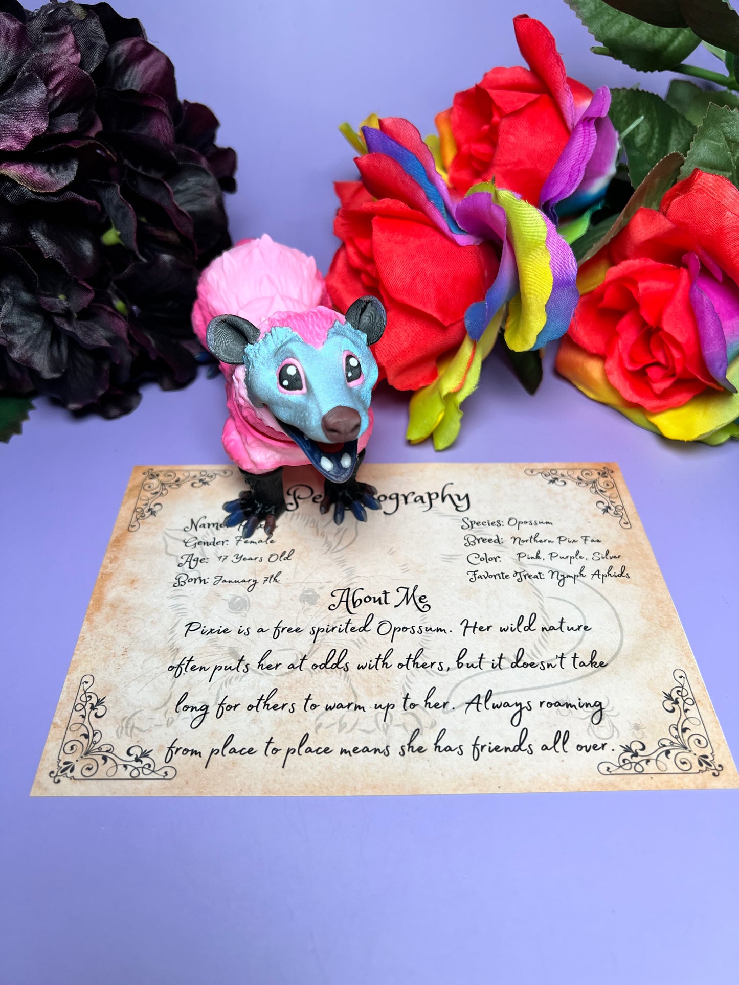 Pixie - The Pink Opossum - Mythical Pets
