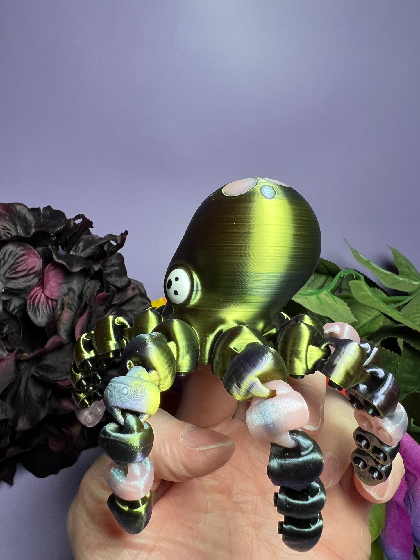 Dax - The Intergalactic Octopus - Mythical Pets
