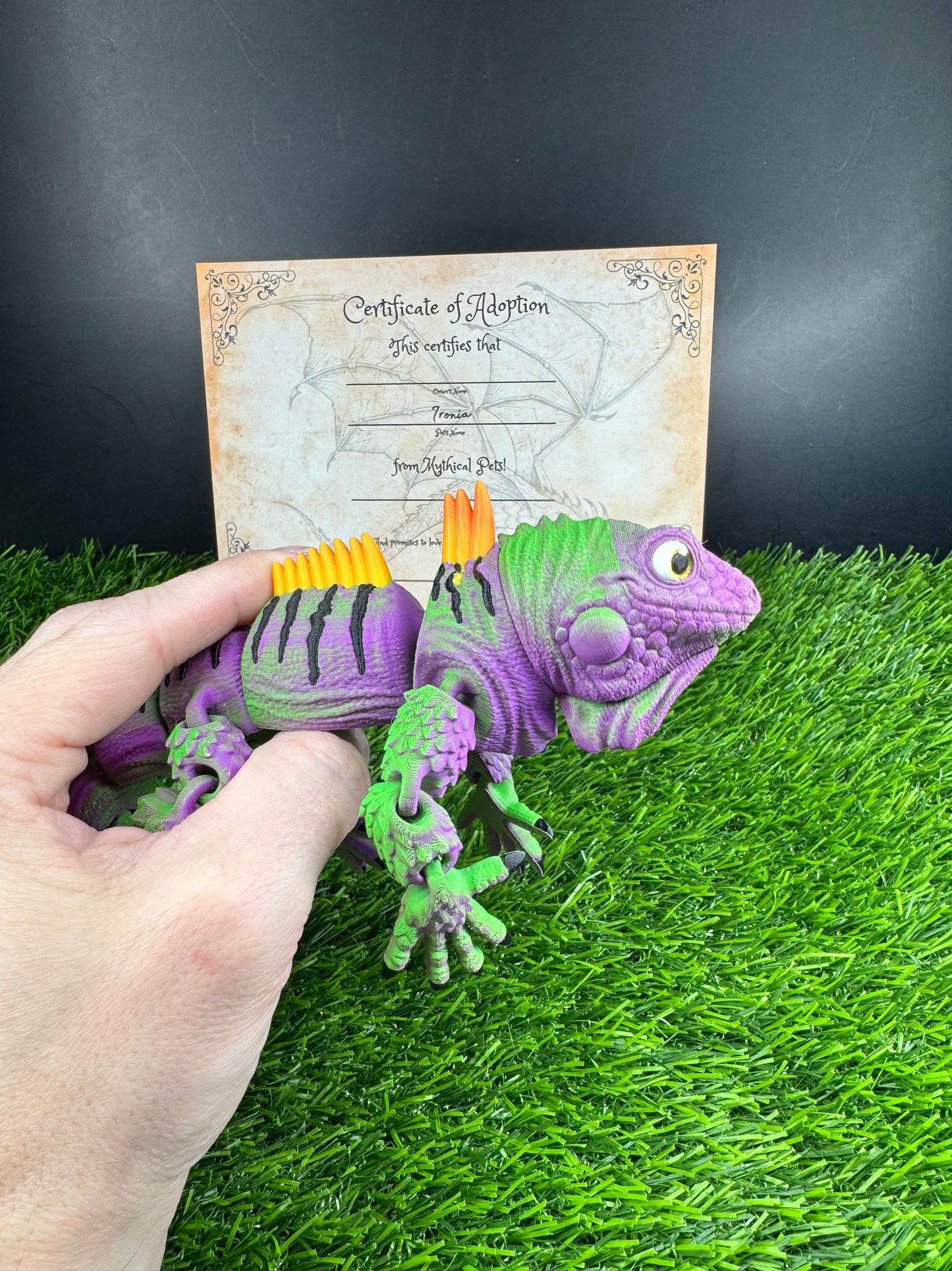 Malachai - The Nightshade Iguana - Mythical Pets