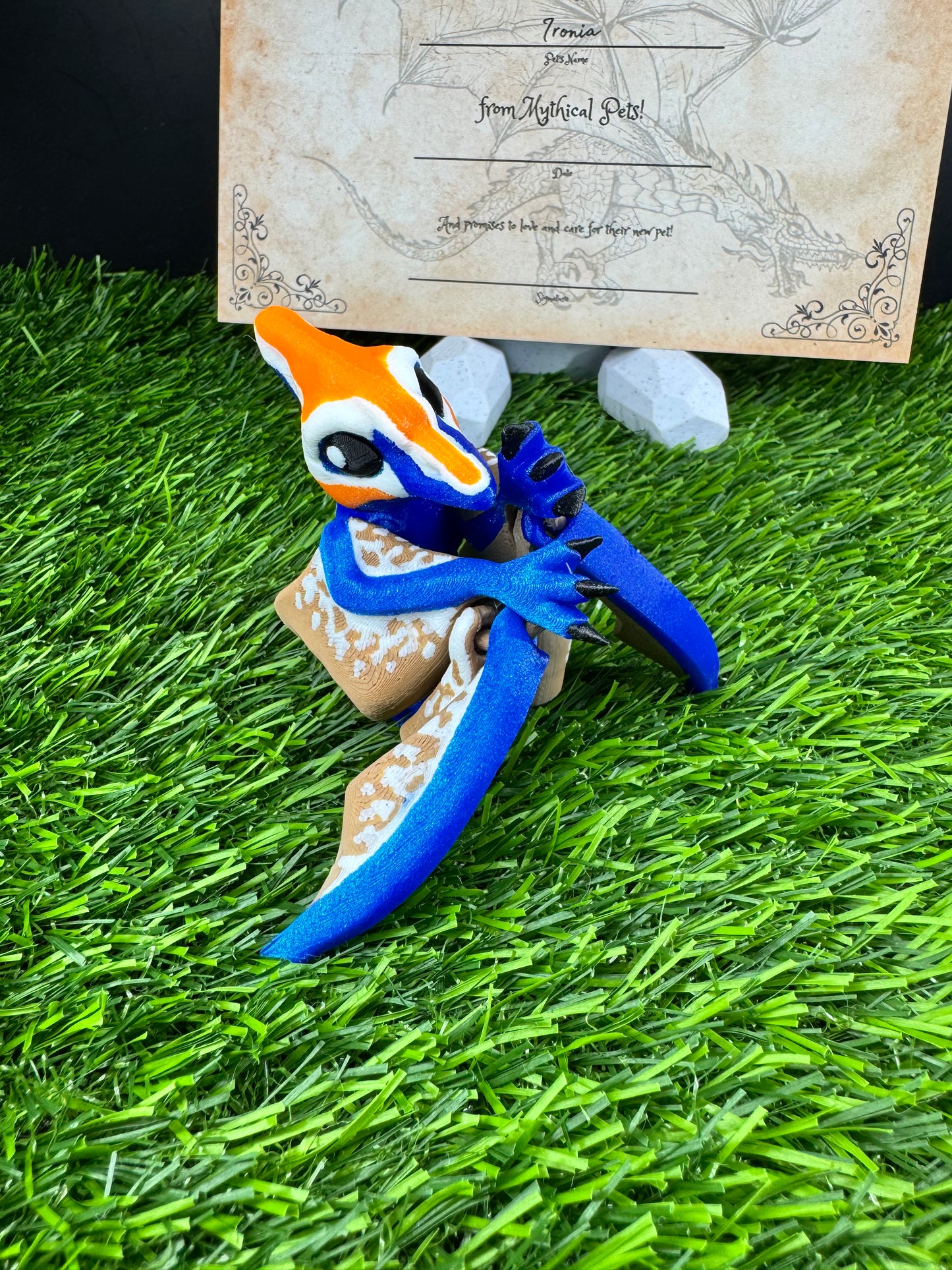 Petra - The Azure Pterodactyl - Mythical Pets