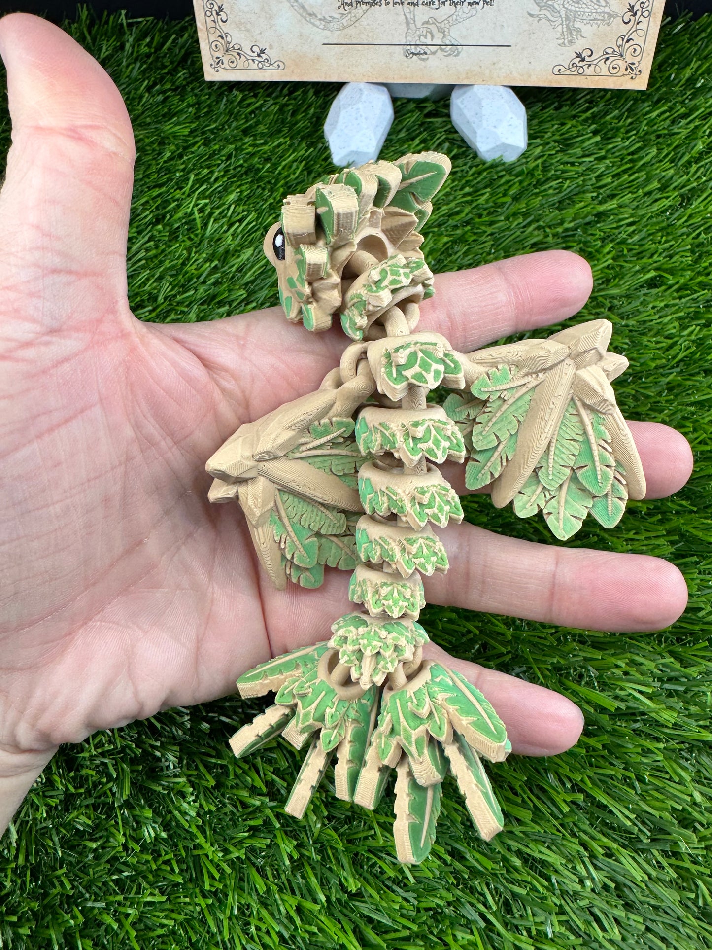 Monty - The Jungle Wyvern - Mythical Pets