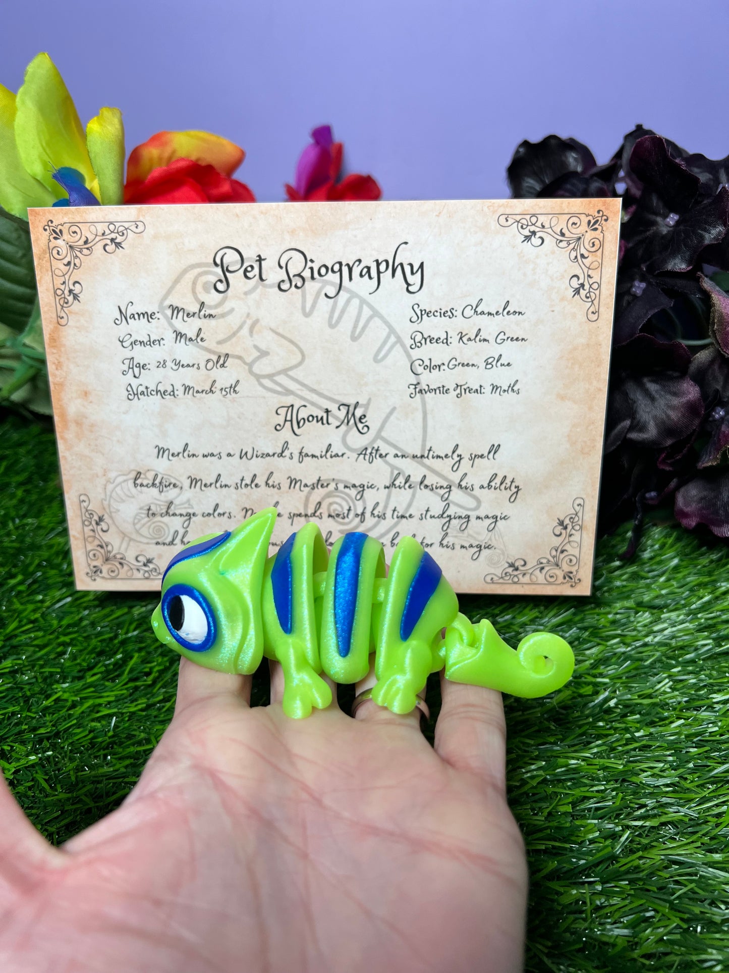 Merlin - The Magical Chameleon - Mythical Pets