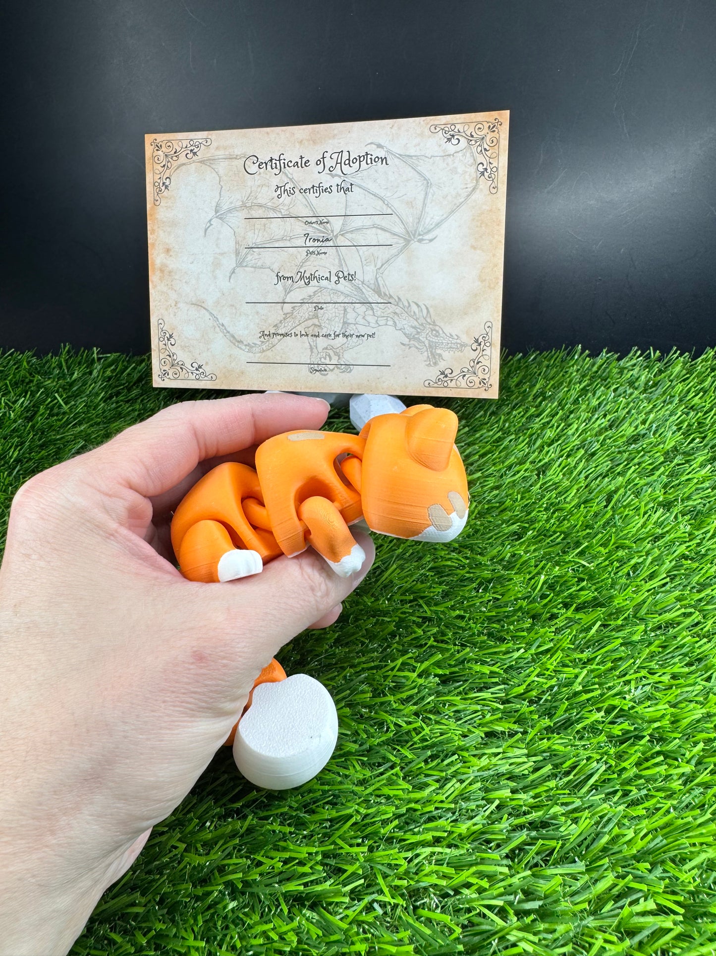 Oliver - The Orange Cat - Mythical Pets