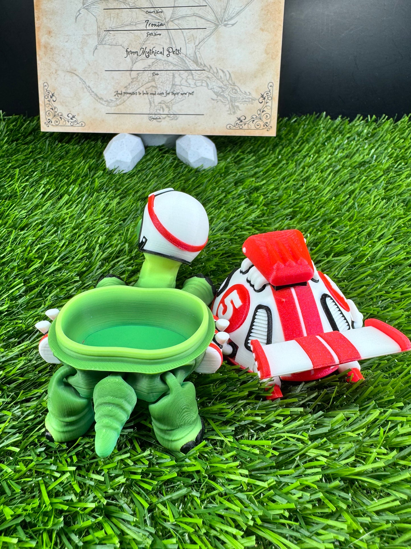 Toshi - The Racer Turtle - Mythical Pets