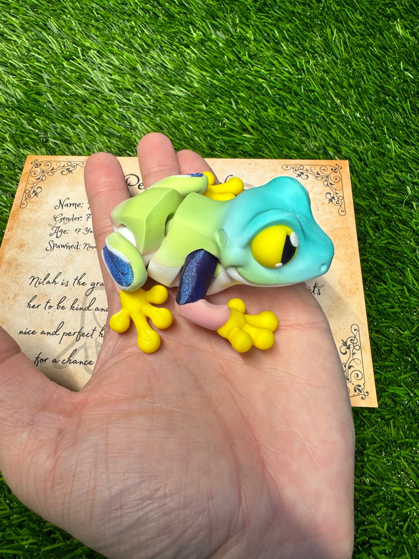 Nilah - The Fae Frog - Mythical Pets