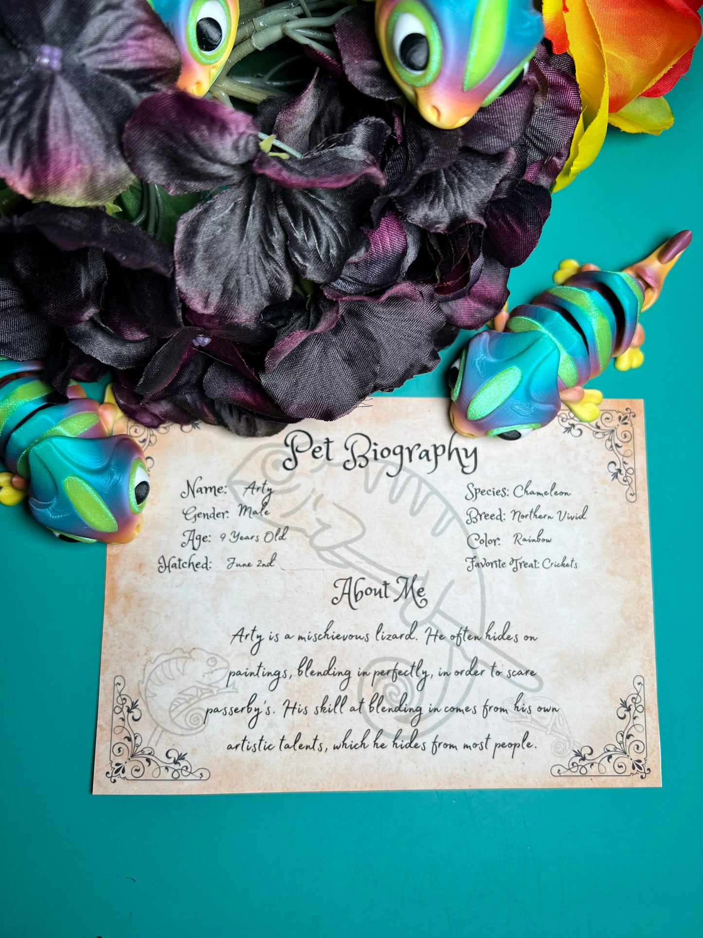 Arty - The Rainbow Chameleon - Mythical Pets