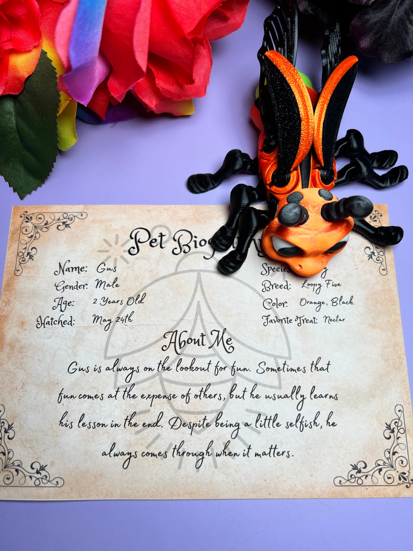 Gus - The Firefly - Mythical Pets