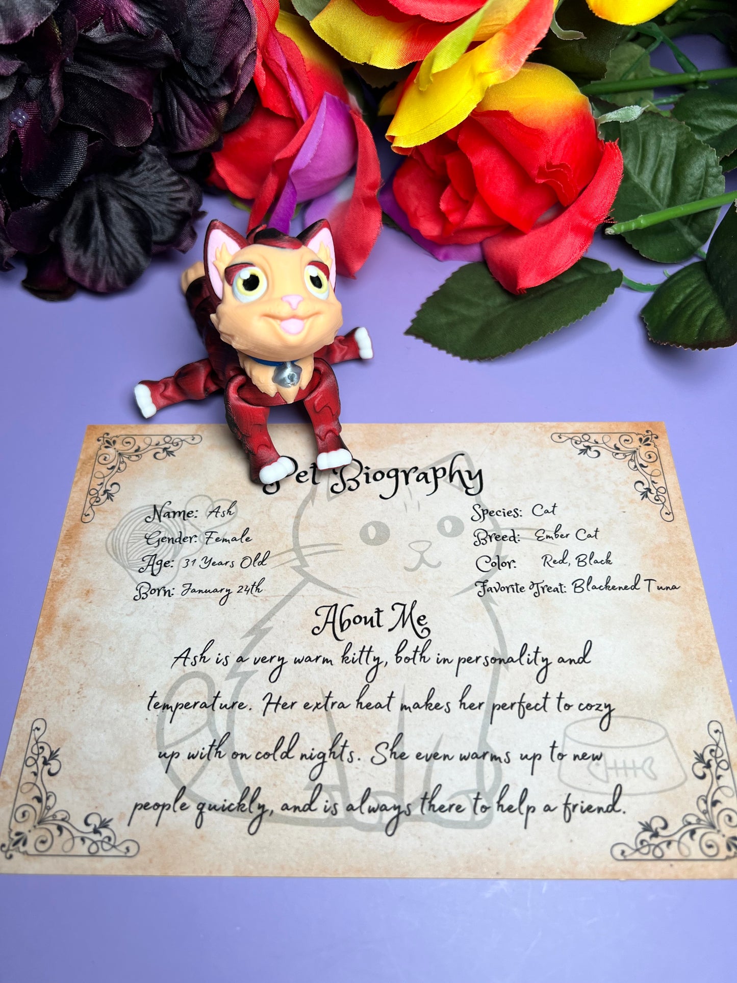 Ash - The Ember Cat - Mythical Pets