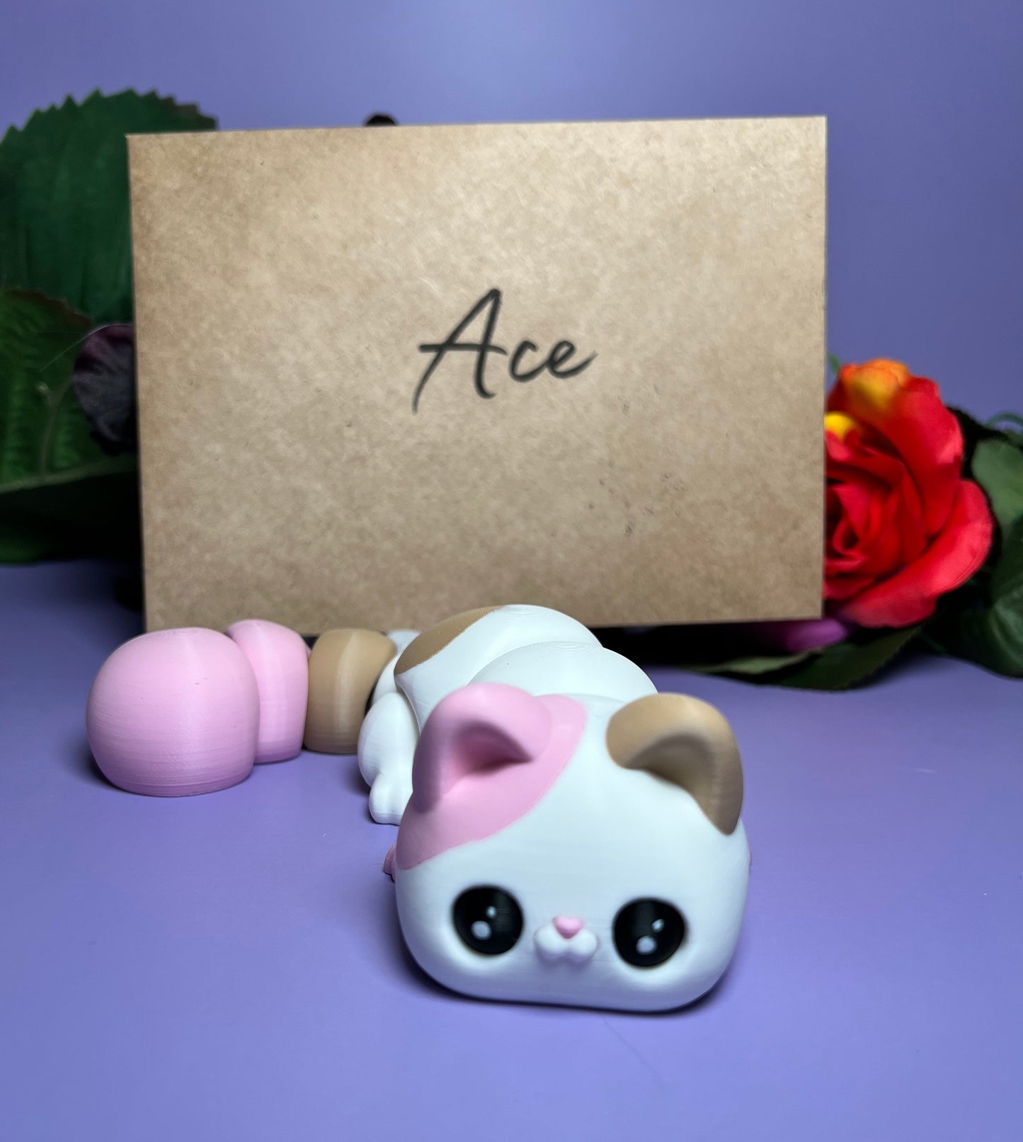 Ace - The Neapolitan Cat - Mythical Pets