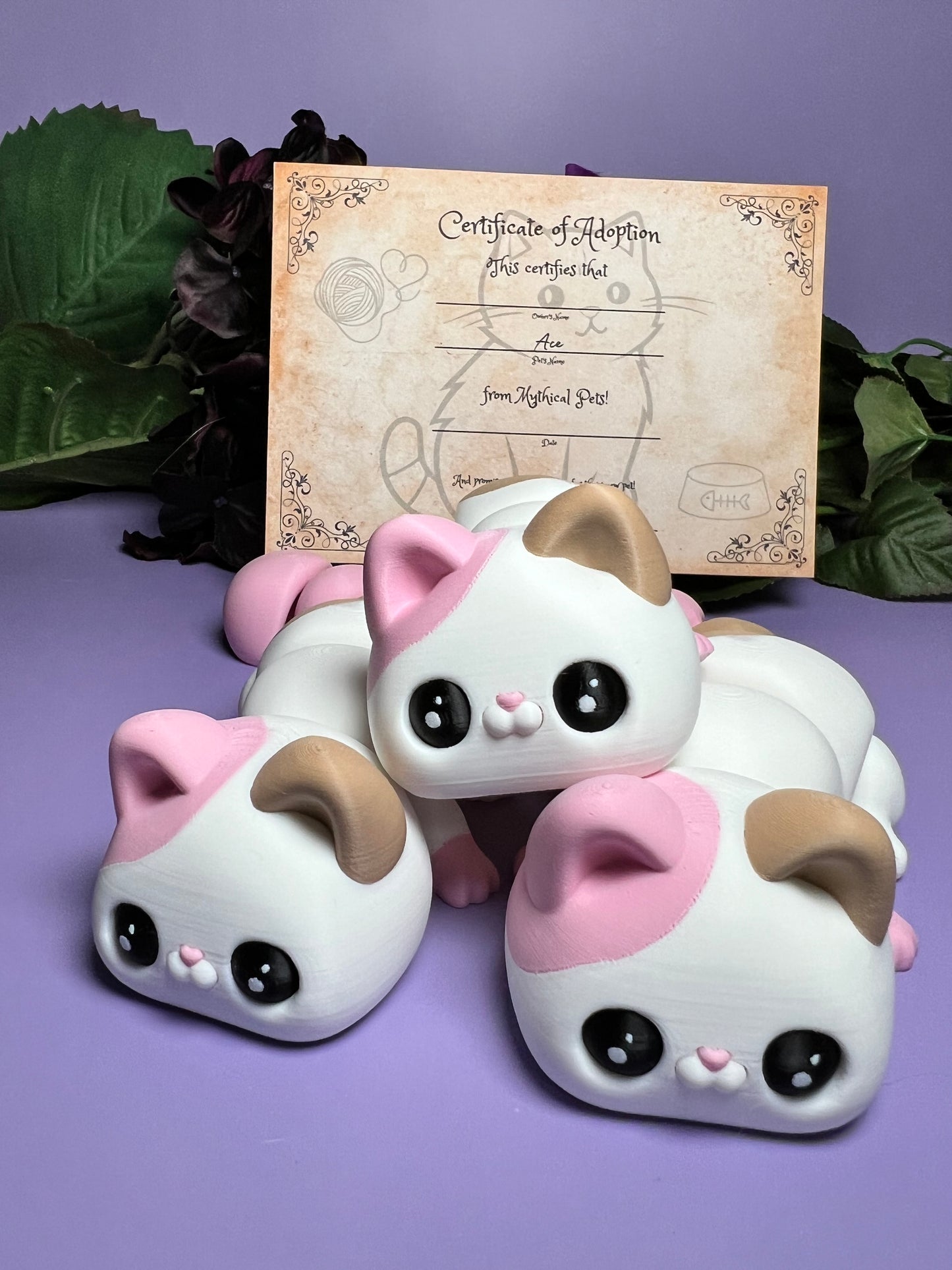 Ace - The Neapolitan Cat - Mythical Pets