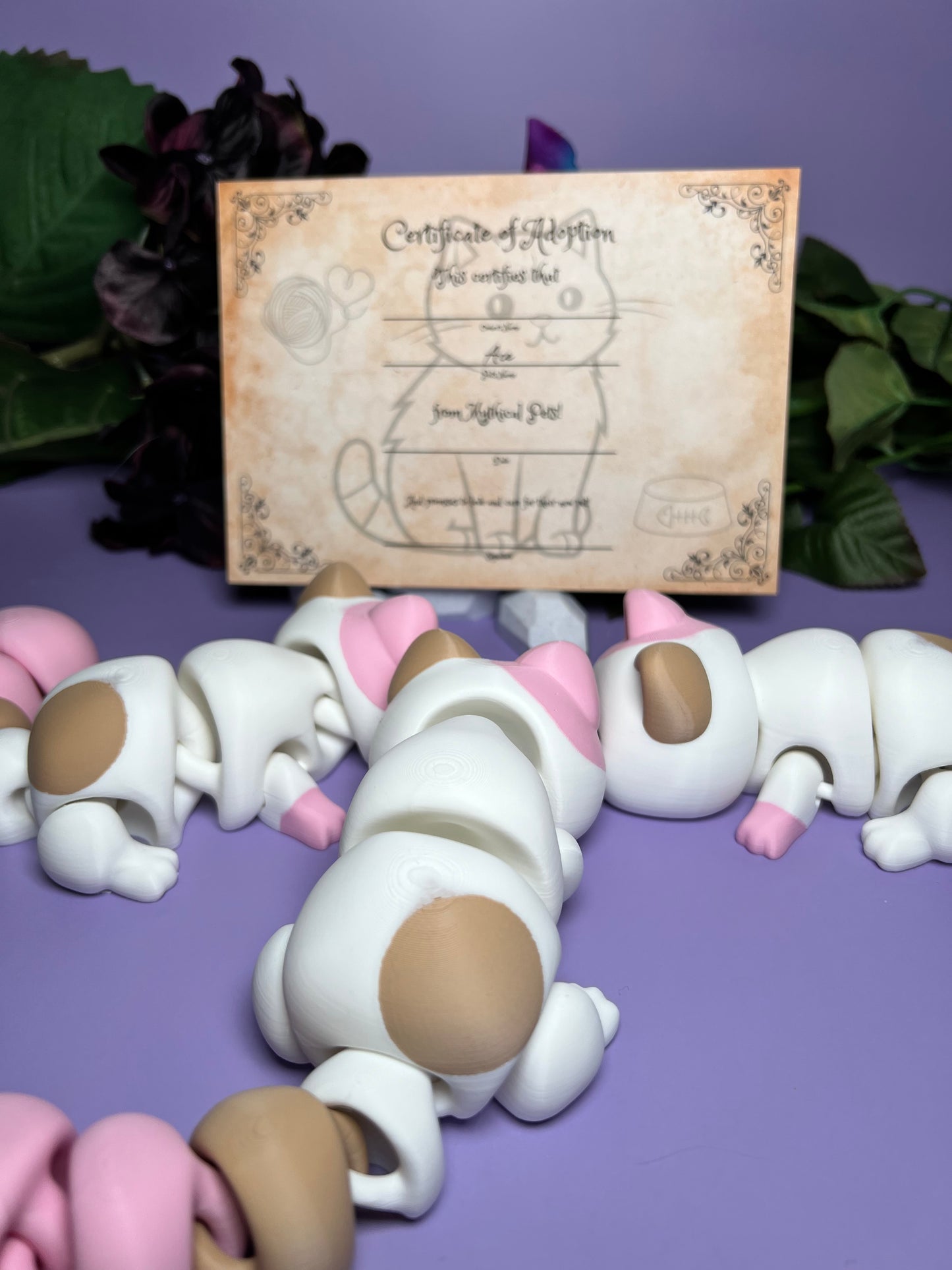 Ace - The Neapolitan Cat - Mythical Pets