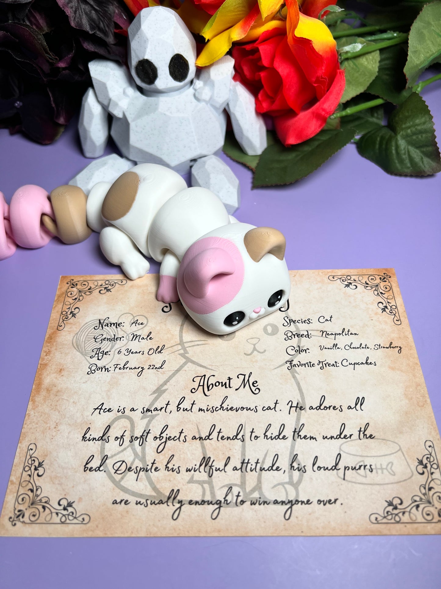 Ace - The Neapolitan Cat - Mythical Pets