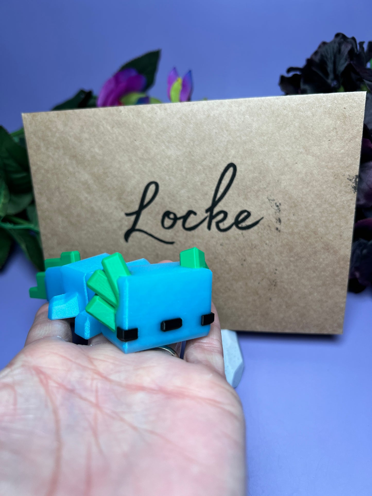 Locke - The Blockalotl - Mythical Pets