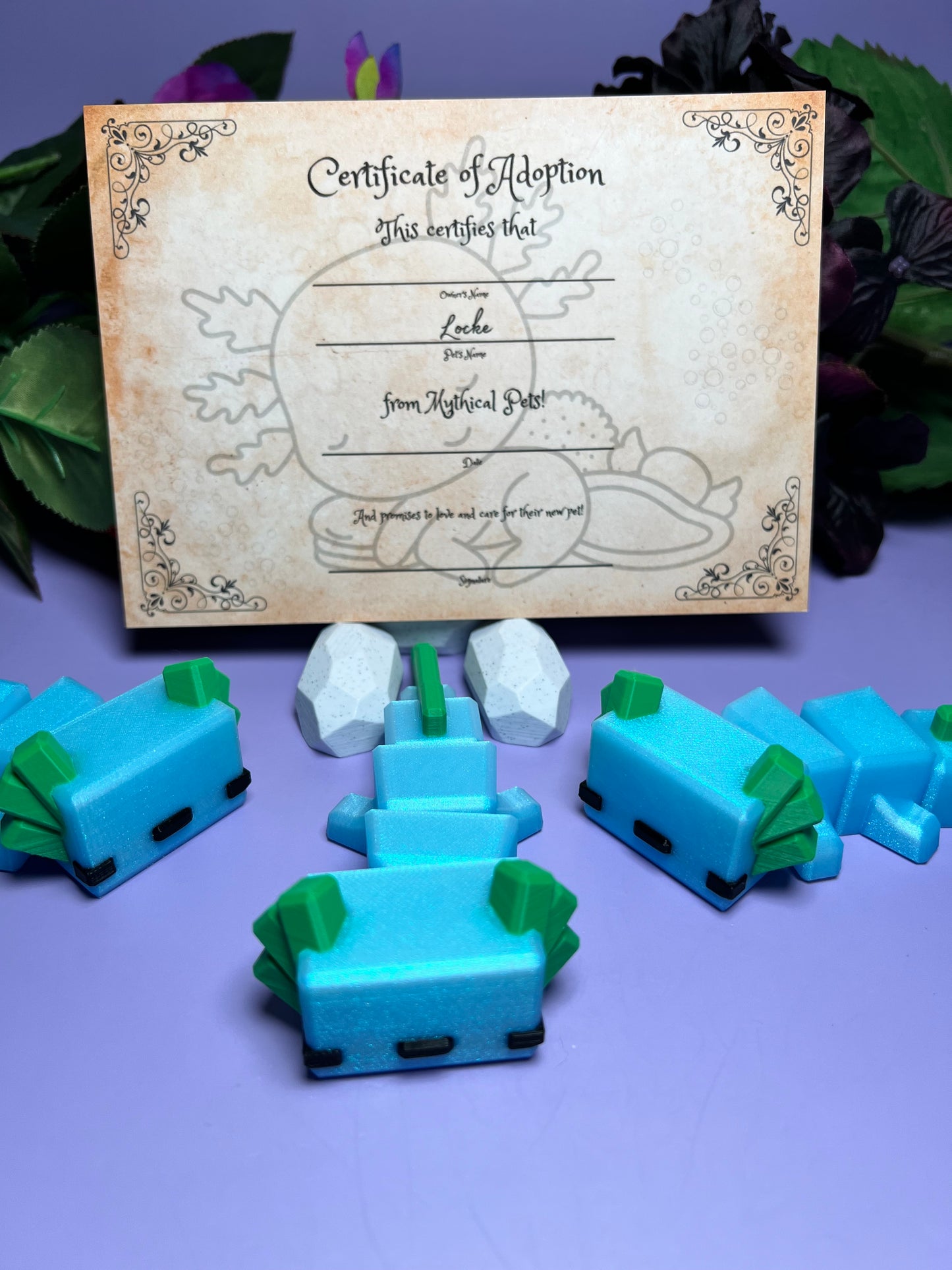 Locke - The Blockalotl - Mythical Pets