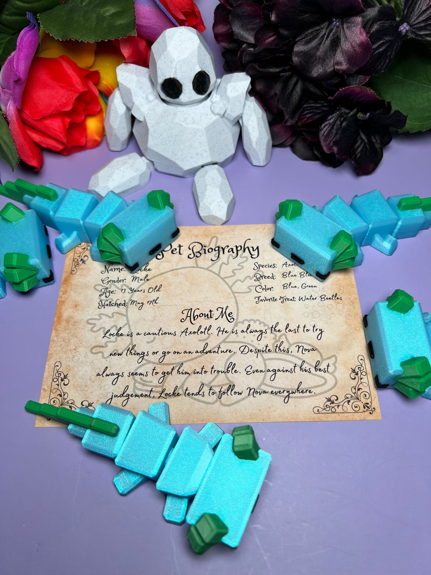 Locke - The Blockalotl - Mythical Pets