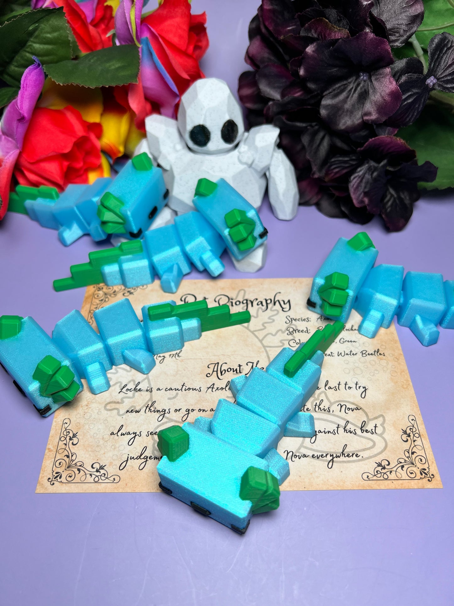 Locke - The Blockalotl - Mythical Pets