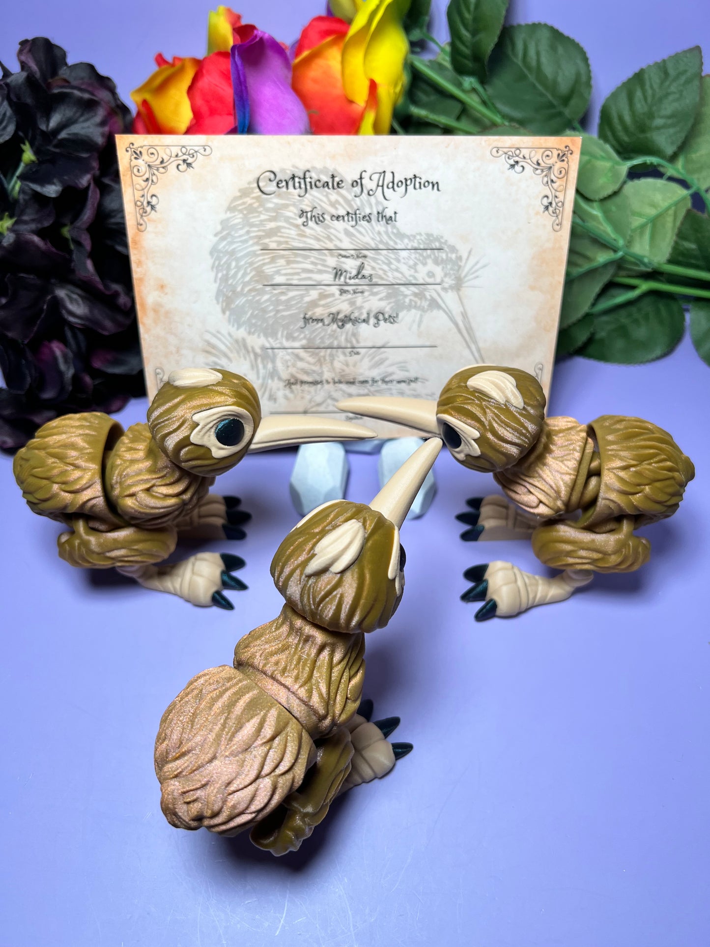 Midas - The Gold Kiwi - Mythical Pets