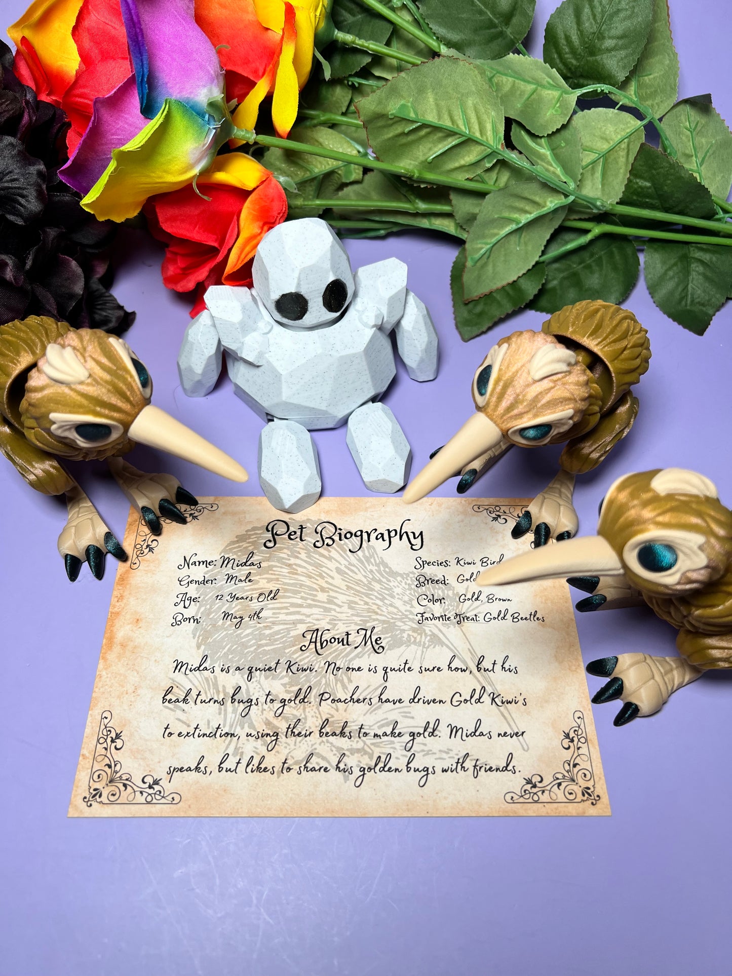 Midas - The Gold Kiwi - Mythical Pets