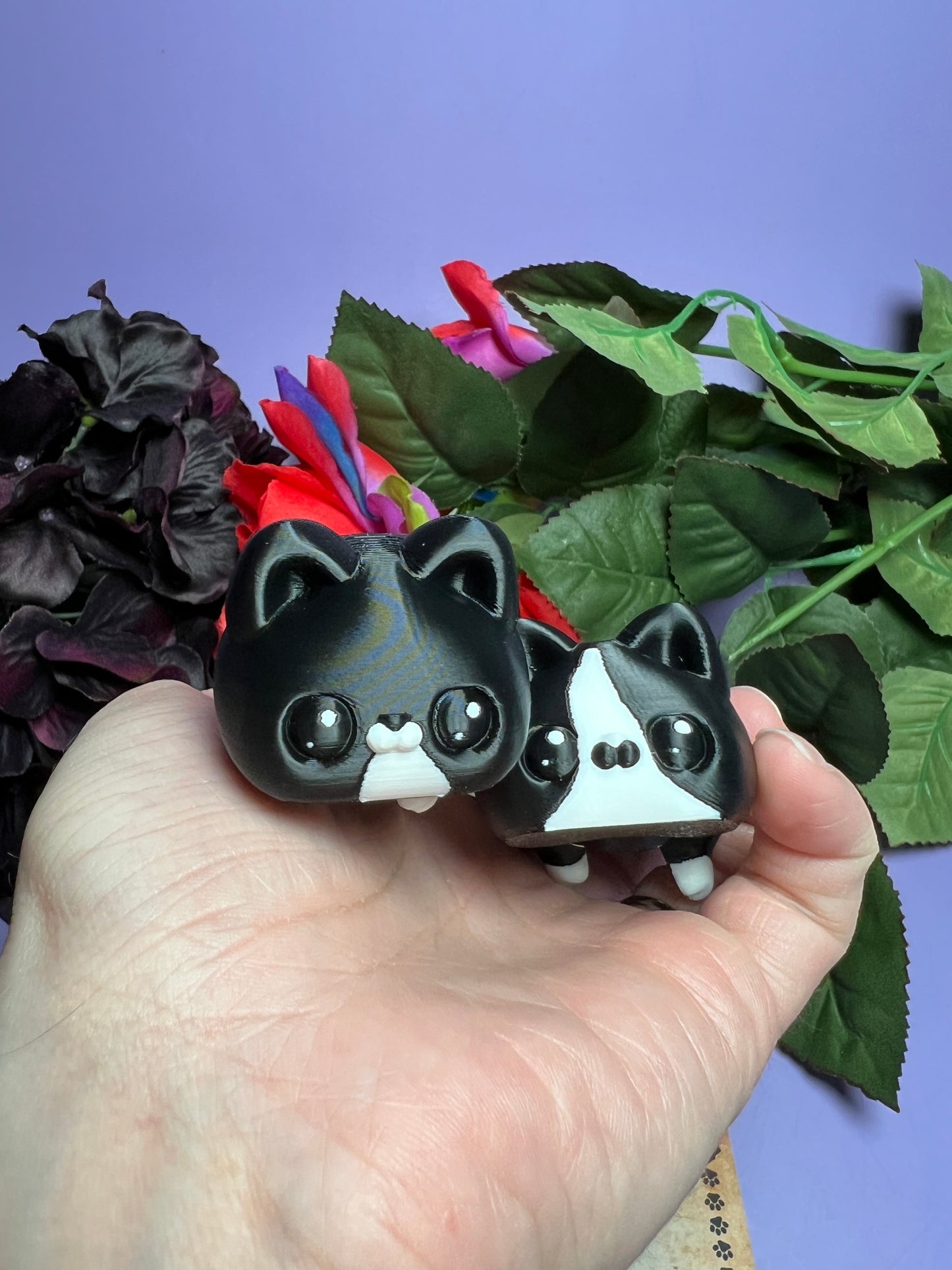 Yama and Yami - The Twincats - Mythical Pets