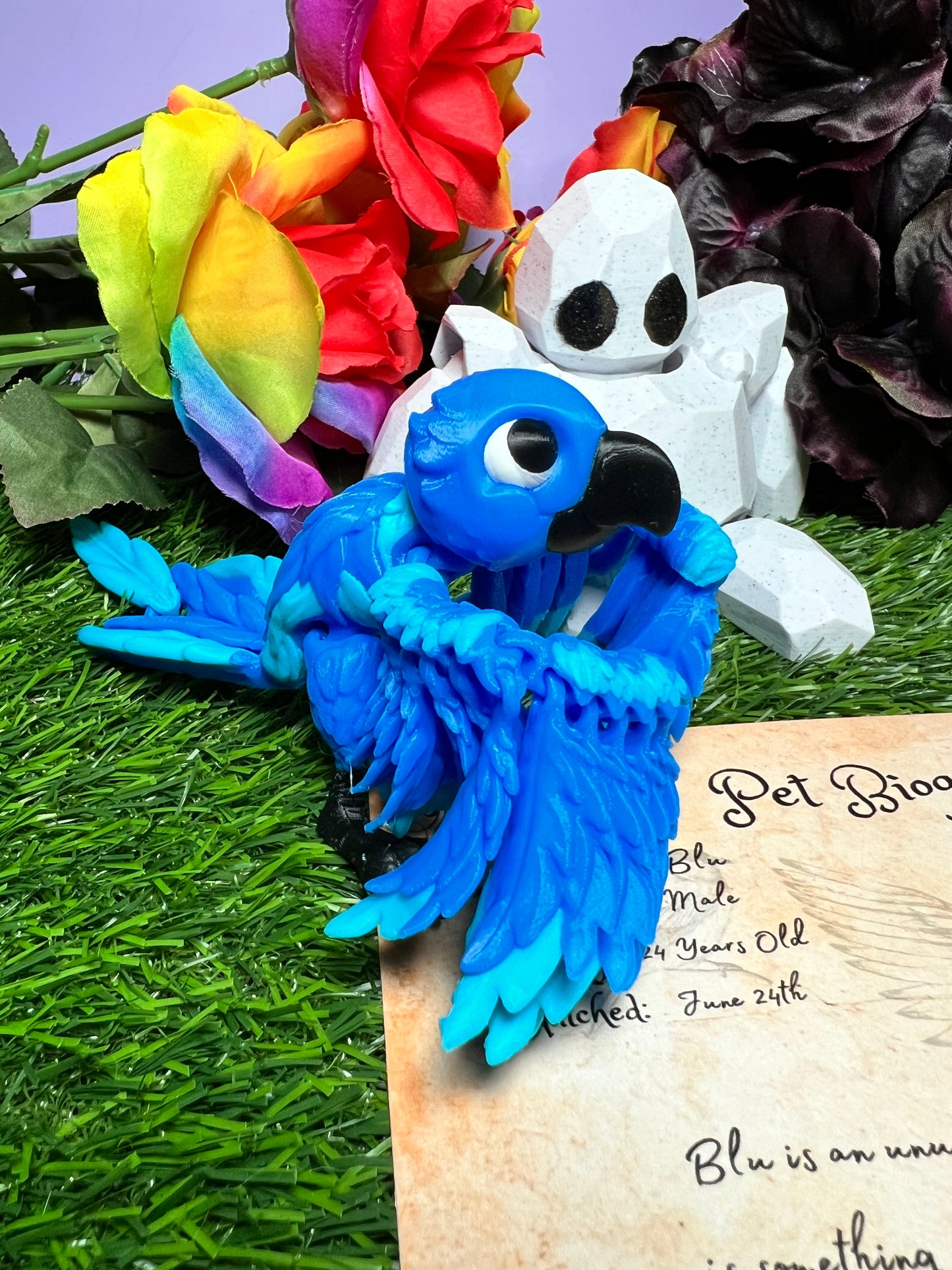 Bluregard - The Blue Macaw - Mythical Pets
