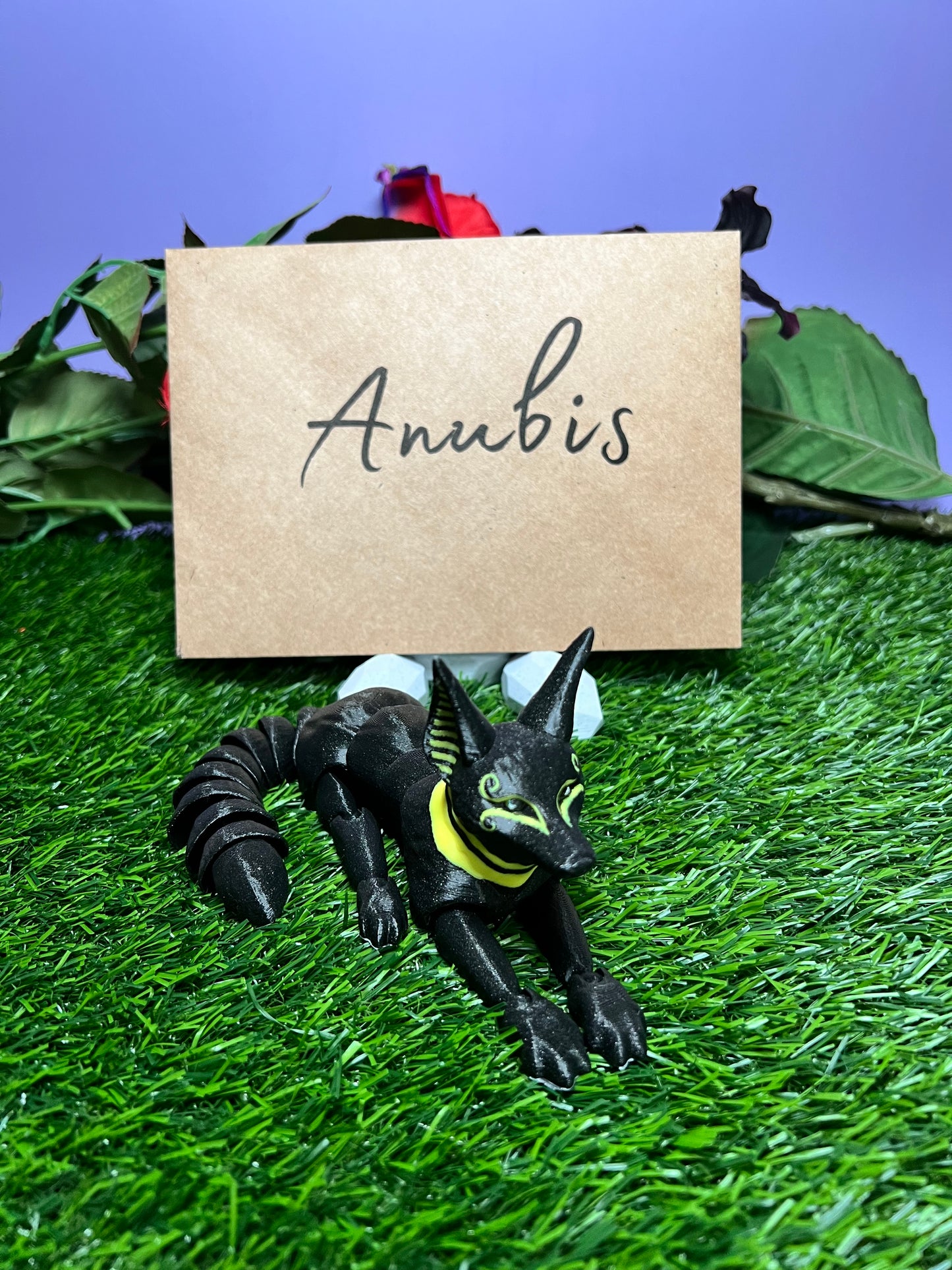 Anubis - The Anubis - Mythical Pets