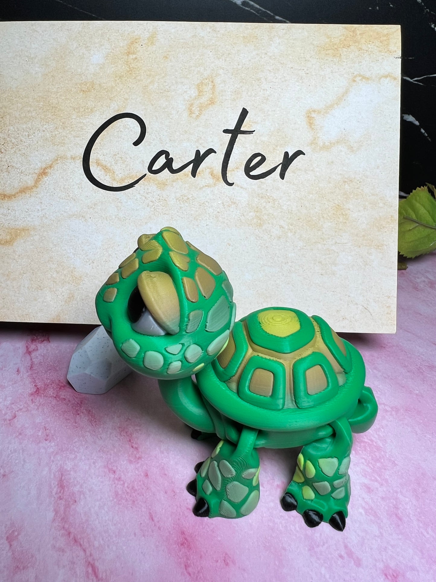Carter - The Tortoise - Mythical Pets