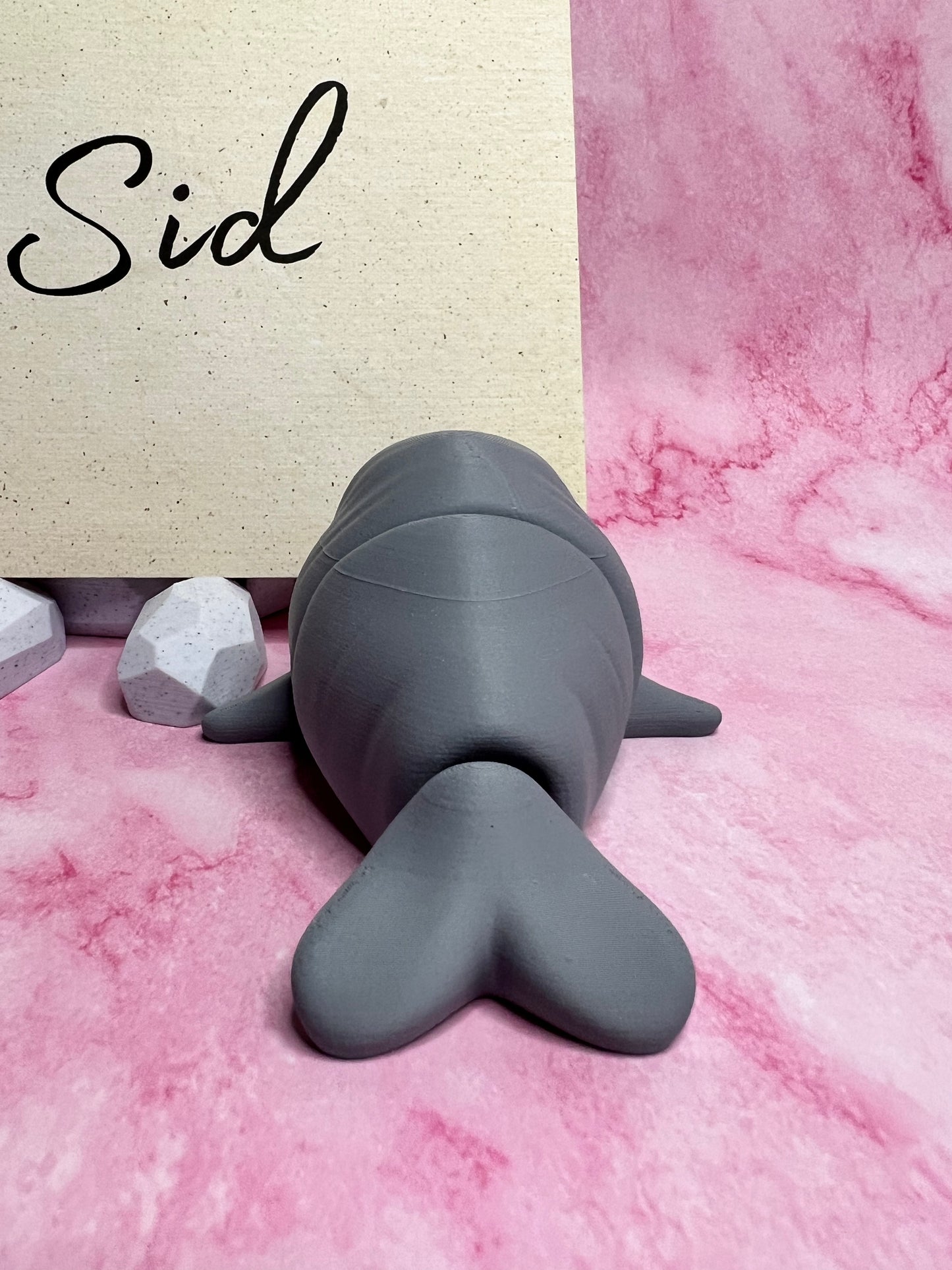 Sid - The Gray Seal - Mythical Pets