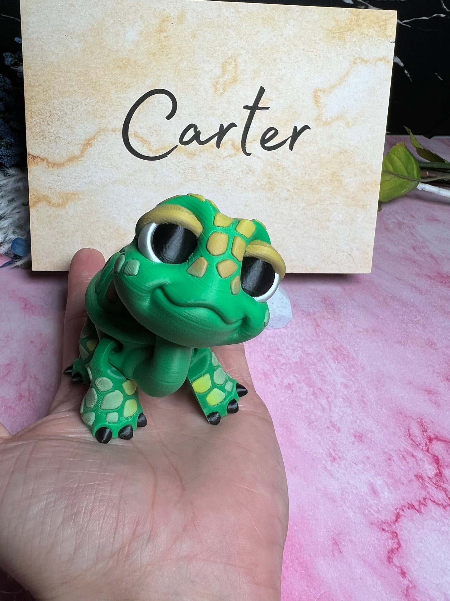 Carter - The Tortoise - Mythical Pets