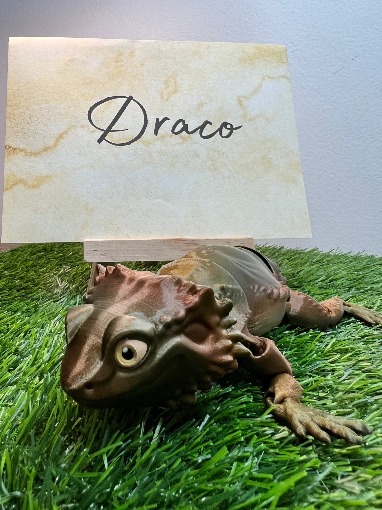 Draco - The Bearded Dragon - Adoptable Articulated Animals