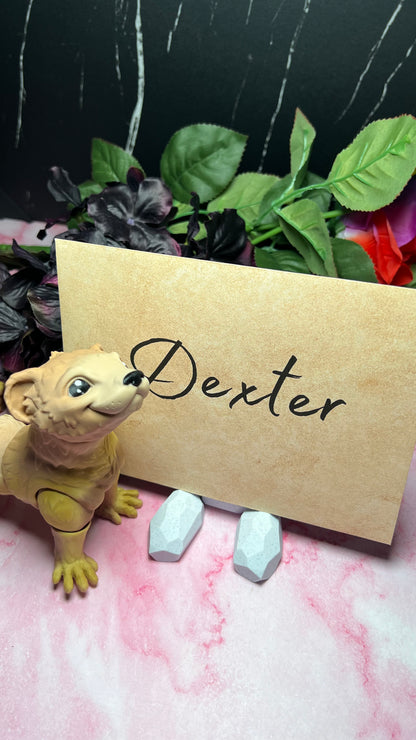 Dexter - The Playful Ferret - Mythical Pets