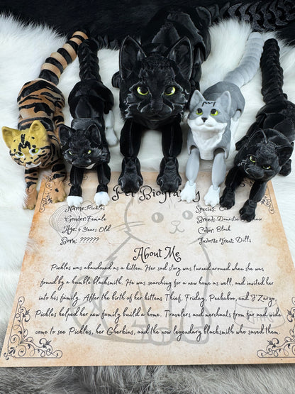 Pickles and The Gherkins - The Legendary Cats  - Mythical Pets