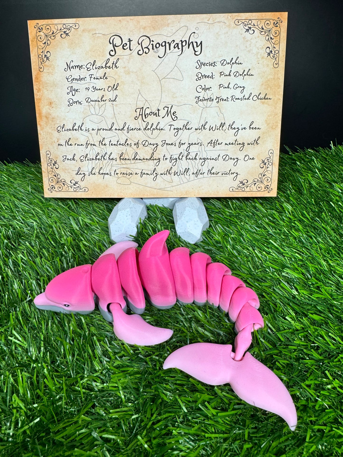Elizabeth - The Pink Dolphin - Mythical Pets