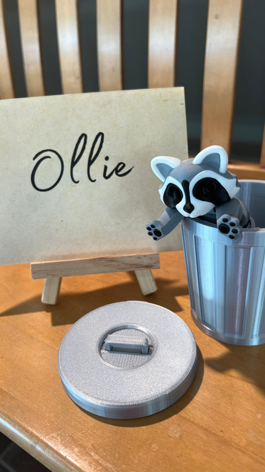 Ollie - The Raccoon - Mythical Pets