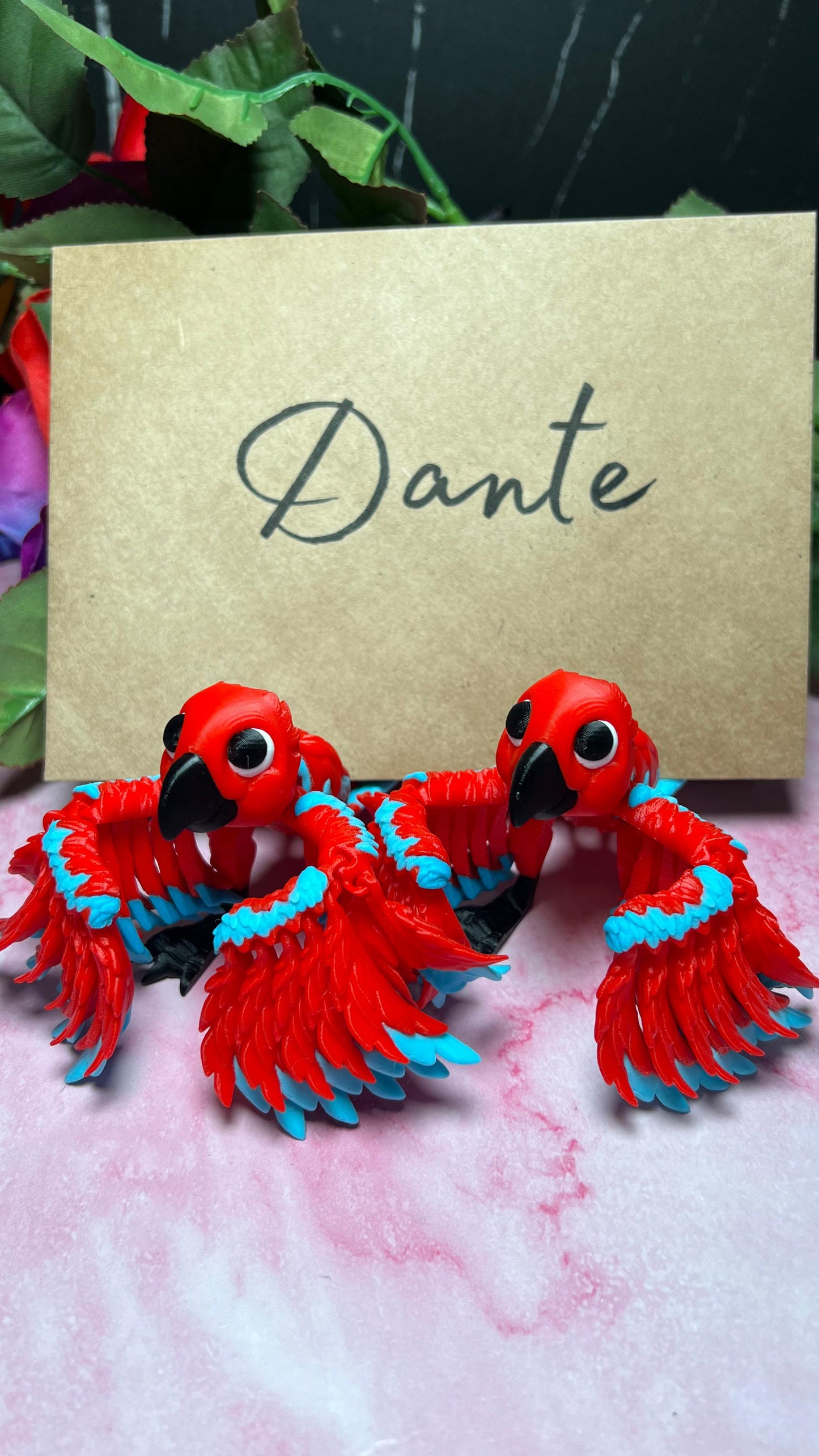 Dante - The Scarlet Macaw  - Mythical Pets
