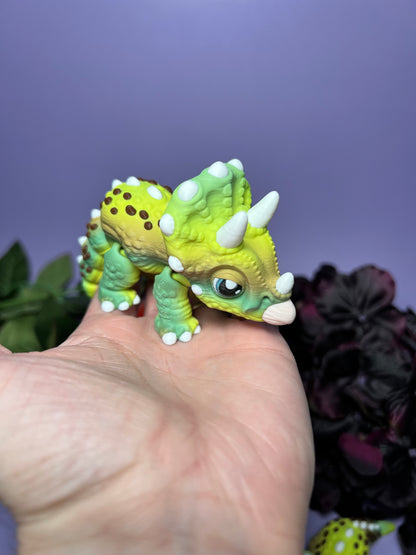 Bones - The Clover Triceratops - Mythical Pet