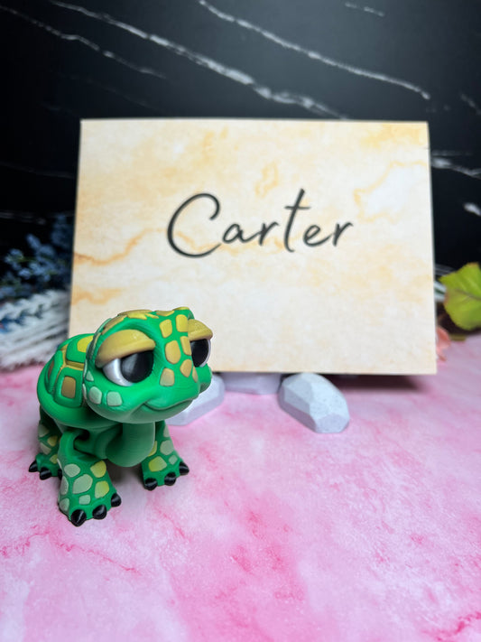 Carter - The Tortoise - Mythical Pets