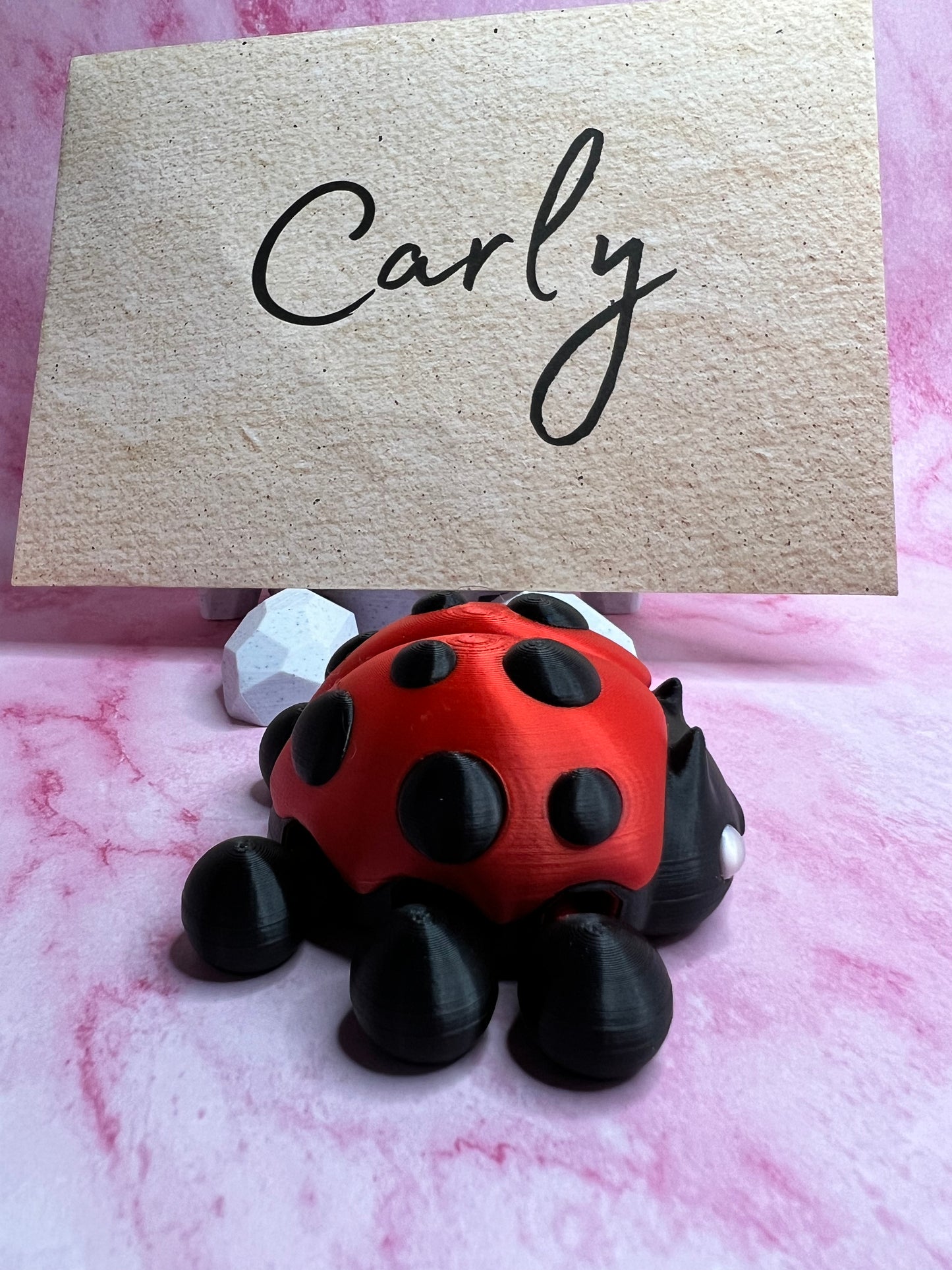 Carly - The Ten Spot Ladybug - Mythical Pets