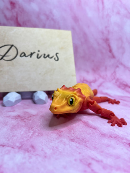 Darius - The Gargoyle Gecko - Mythical Pets