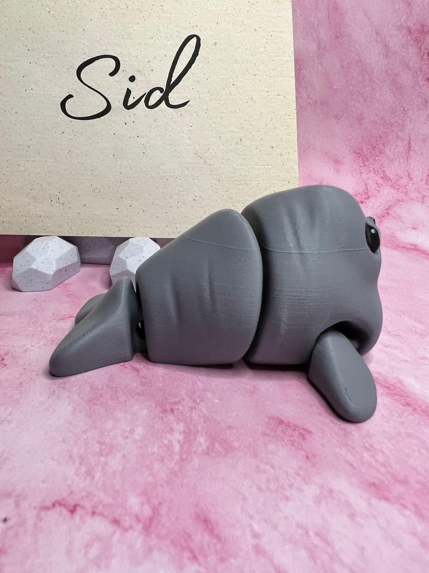Sid - The Gray Seal - Mythical Pets