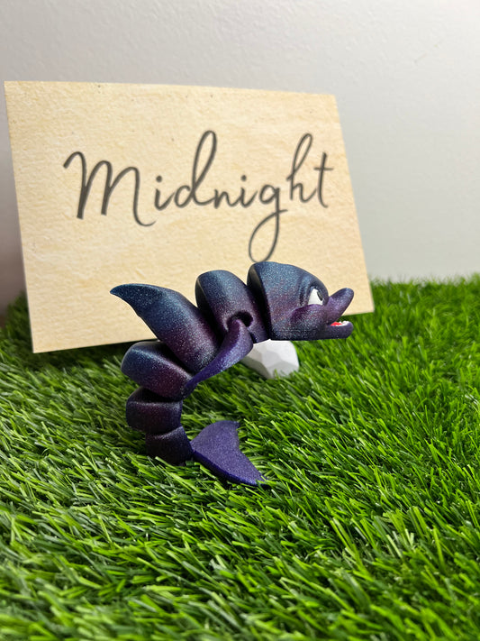 Midnight - The Galaxy Dolphin