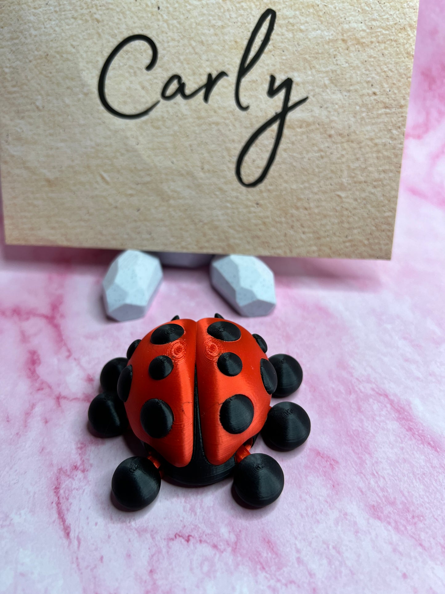 Carly - The Ten Spot Ladybug - Mythical Pets