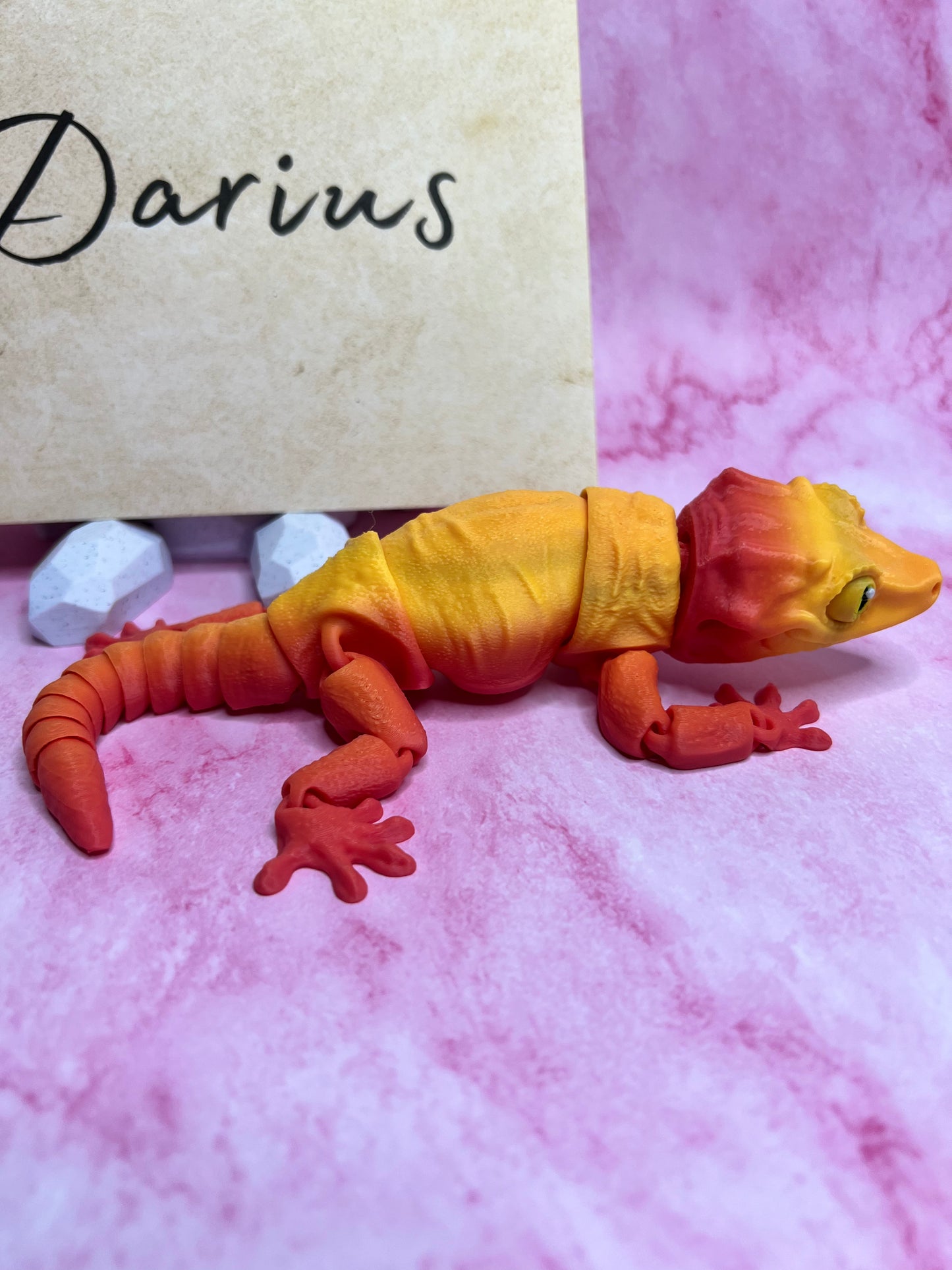 Darius - The Gargoyle Gecko - Mythical Pets